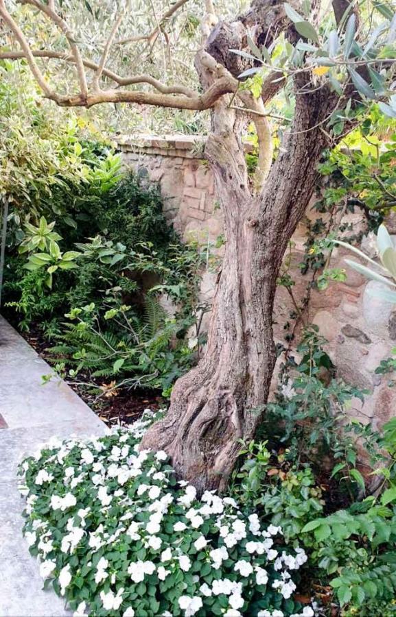 מונזמבנו B&B Borsi מראה חיצוני תמונה